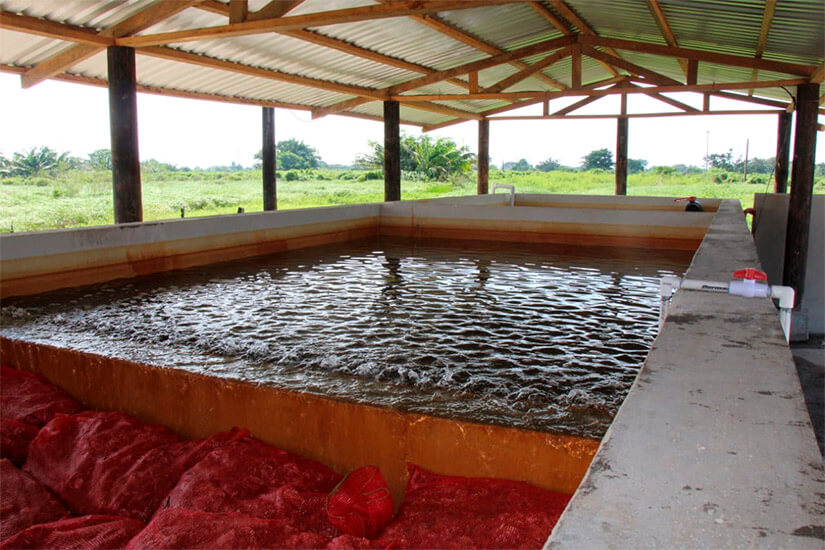 centro-produccion-peces-laguna-perlas-nicaragua